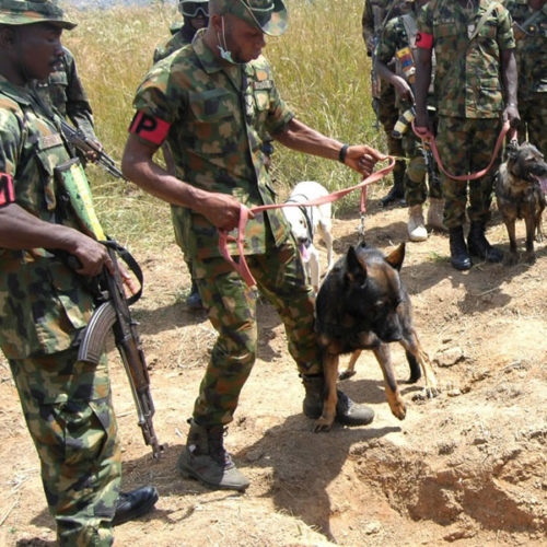 MISSING GEN ALKALI: ARMY PARADES SUSPECTS