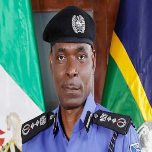 President Buhari Directs IGP Mohammed Adamu to Protect Every Nigerian