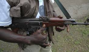 Gunmen Kill Miyetti Allah Leader