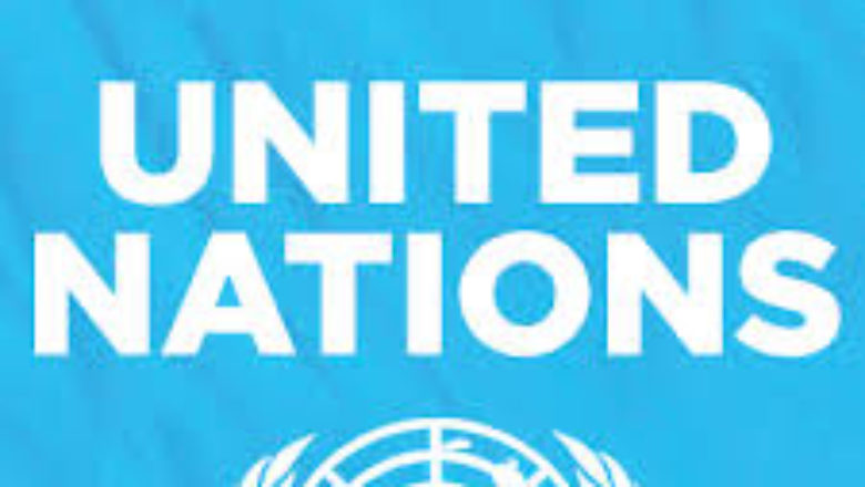 UN Condemns Killing Of Another Aid Worker By Boko Haram.