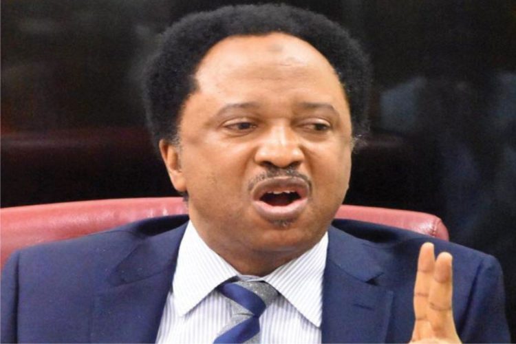 Campaign Against Impunity Calls For Release Of Former Senator, Shehu Sani