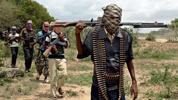 Bandits Based In Kaduna Kill 30 In Niger Invasion, Burn Villages