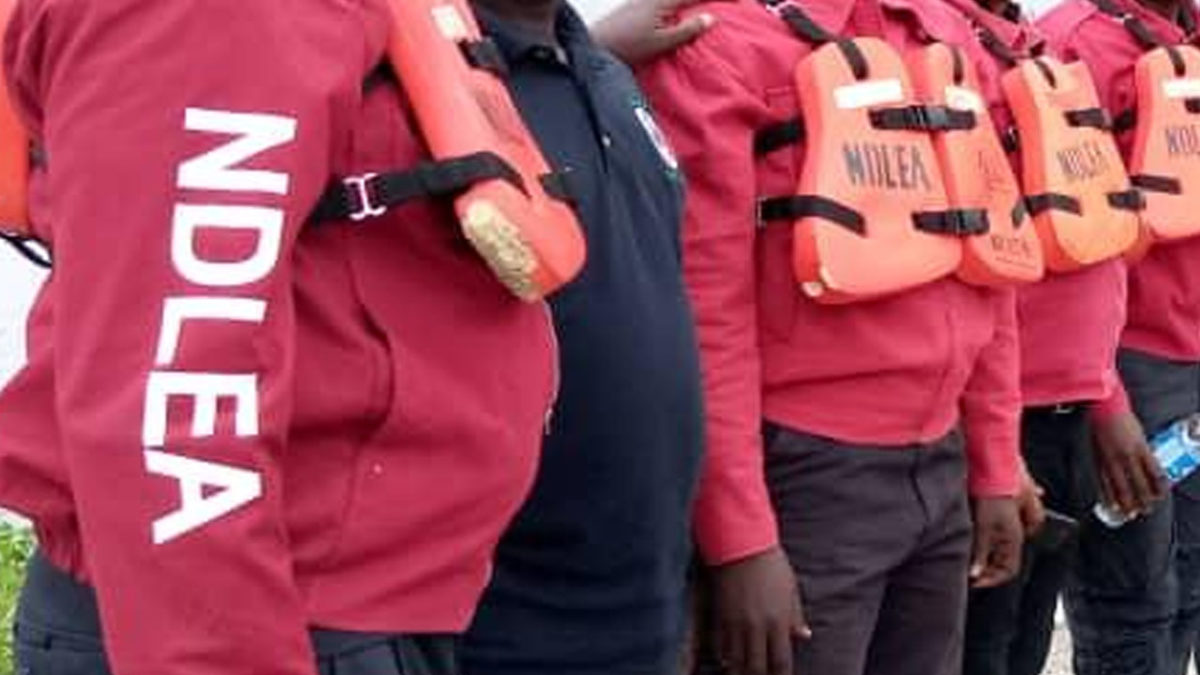 NDLEA Operatives Arrests 90 Persons, Including An Indian During Raids In Lagos