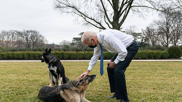Joe Biden’s Dogs Moved Out Of White House After Biting Security Agent