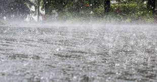 Katsina Witnesses Highest Rainfall In A Single Day In 100 Years