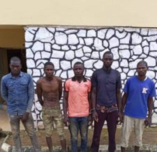 Kaduna Police Command Neutralises Bandit, Arrests 3 Kidnappers 