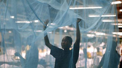 FG Plans To Borrow N82 Billion To Buy Mosquito Nets