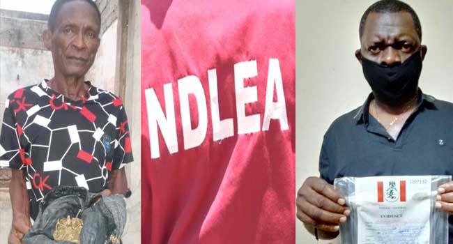 NDLEA Arrests 76-Year-Old Man, Fake Security Agent For Importing Cookies Laced With Drugs