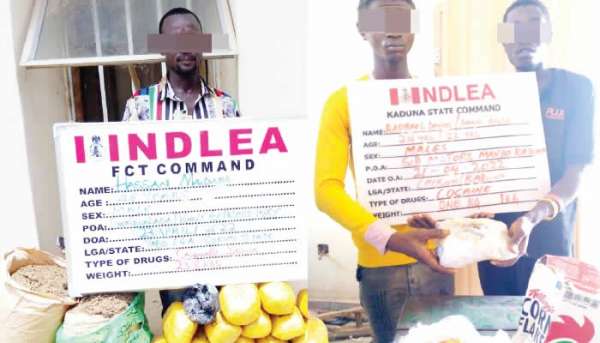 NDLEA Arrests Four Trafickers, Recovers Cocaine In Teabags