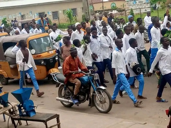 Protest Rocks Bauchi As Students March Over Separation Between Boys and Girls