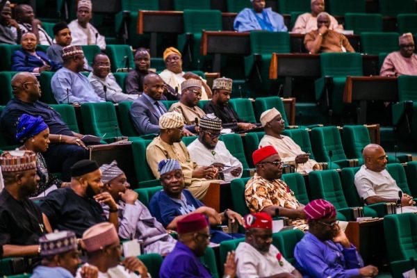 Reps Ask FG To Mitigate Effects Of Subsidy Removal