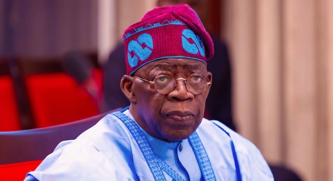 Our Diversity Can Give Us Economic Growth, Says Tinubu