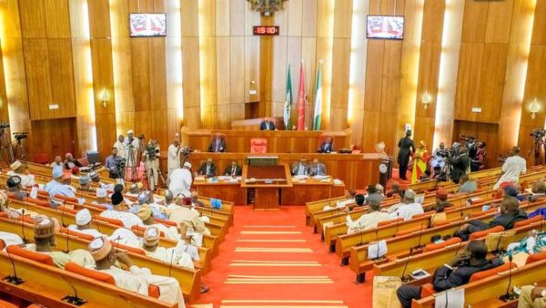 Senate Urges Federal Government To Declare A State Of Emergency On Substance Abuse