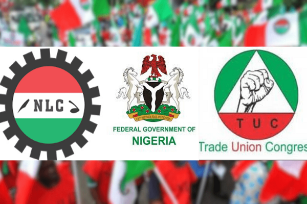 Partial Compliance In States As Organized Labour Commences Strike
