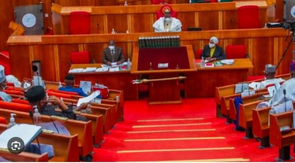 Senate Begins Screening Of INEC RECs