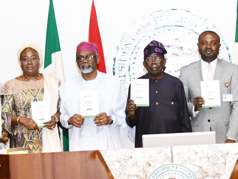 Tinubu Launches Expatriate Employment Levy