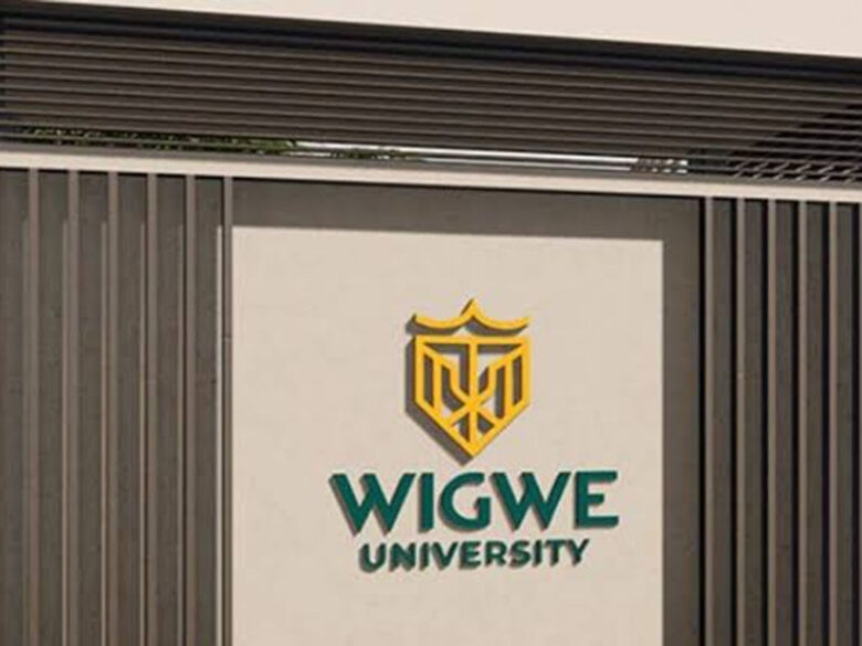 N12m Tuition: Herbert Wigwe’s University Set to Be Nigeria's Priciest in August