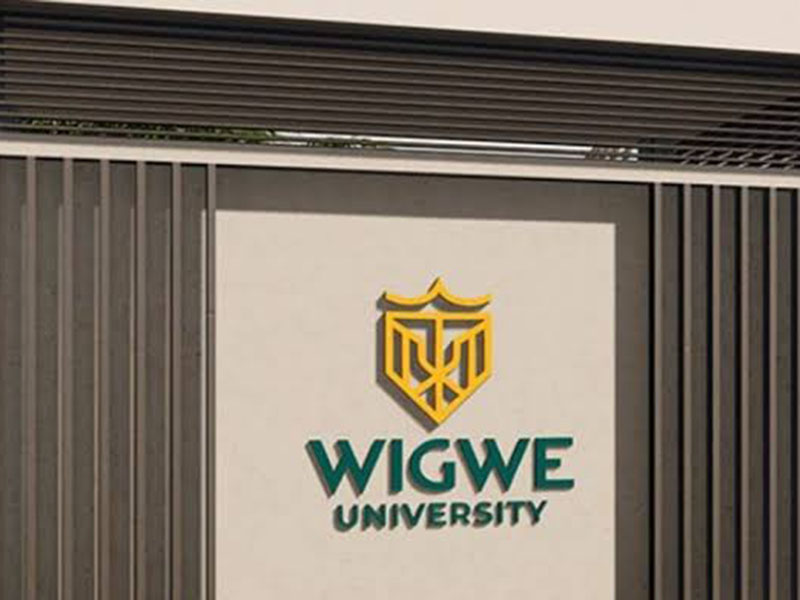 N12m Tuition: Herbert Wigwe’s University Set to Be Nigeria’s Priciest in August