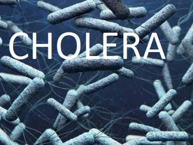 Cholera Death Toll in Lagos Reaches 21 with 401 Suspected Cases