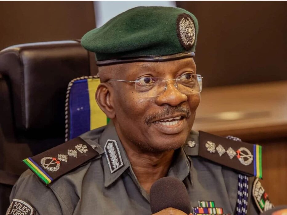 Trial Of Suspects Arrested During Protests Has Begun – IGP