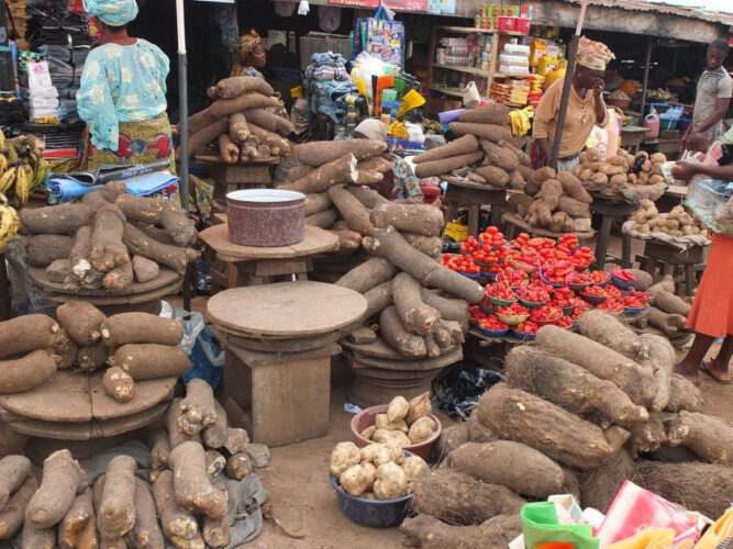 Agric Minister Predicts Significant Drop in Food Prices Within 180 Days