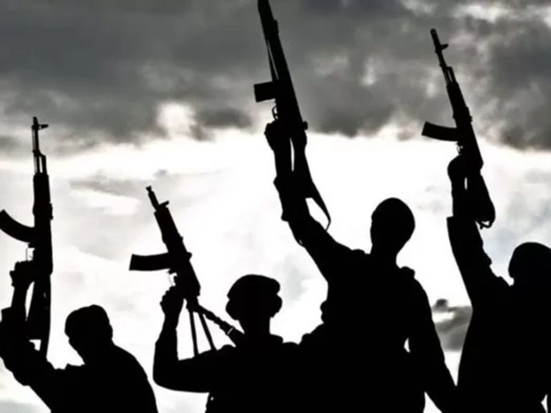 Gunmen Kidnap Two Chinese Nationals In Ogun