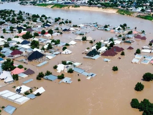 Borno: FG Appeals for Increased US Assistance for Flood Victims