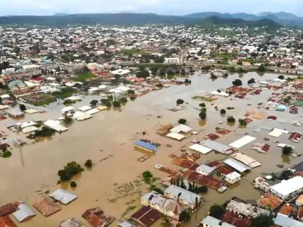 Flooding: FG Urges Nigerians to Relocate from Riverbanks