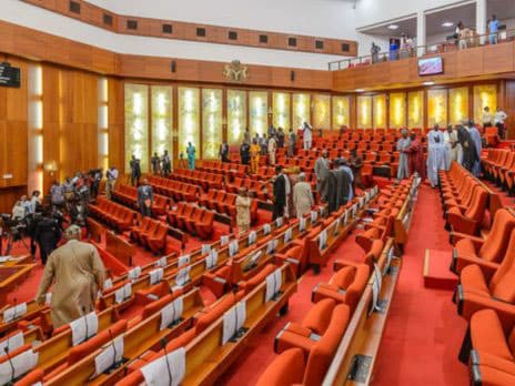 Senate Postpones Screening of Bianca Ojukwu and Other Ministerial Nominees