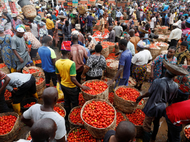 Nigeria’s Inflation Hits 34.60% in November — NBS