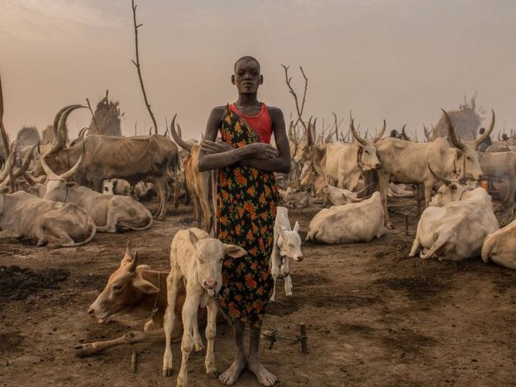 Several Feared Dead in Suspected Herdsmen Attack on Ebonyi Community