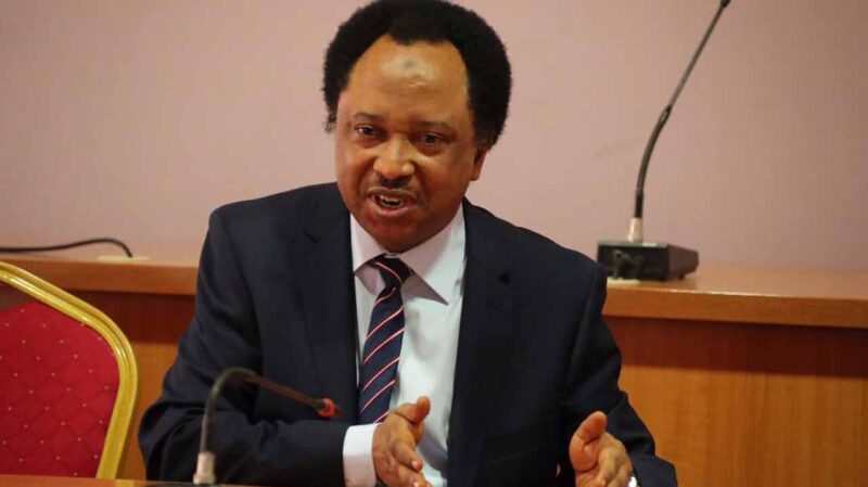 Shehu Sani: El-Rufai’s Defection Irrelevant, He Was a Burden to APC